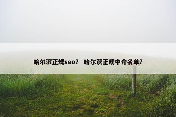 哈尔滨正规seo？ 哈尔滨正规中介名单？