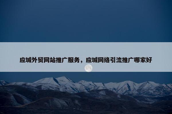应城外贸网站推广服务，应城网络引流推广哪家好
