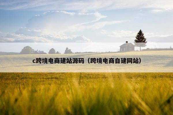 c跨境电商建站源码（跨境电商自建网站）