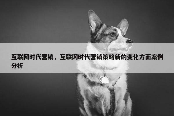 互联网时代营销，互联网时代营销策略新的变化方面案例分析