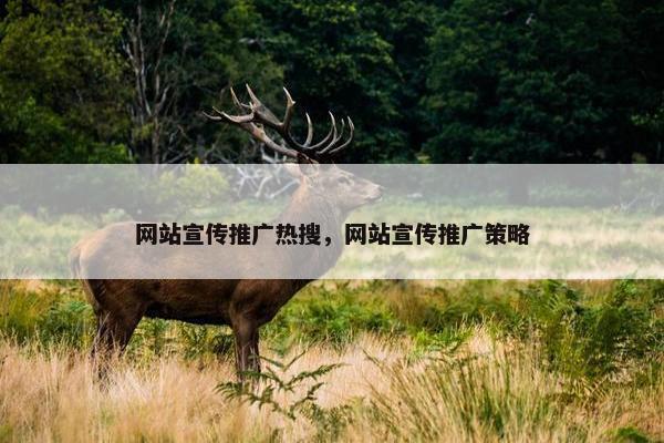 网站宣传推广热搜，网站宣传推广策略