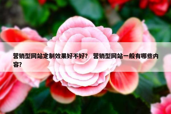 营销型网站定制效果好不好？ 营销型网站一般有哪些内容？