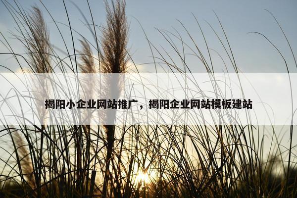揭阳小企业网站推广，揭阳企业网站模板建站