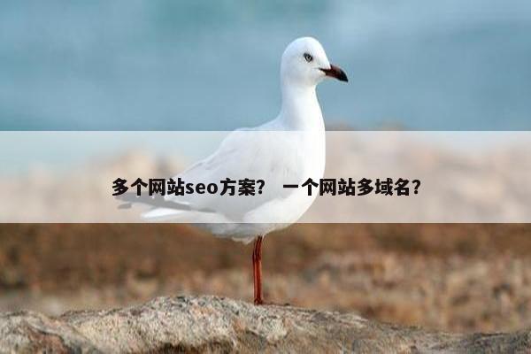多个网站seo方案？ 一个网站多域名？