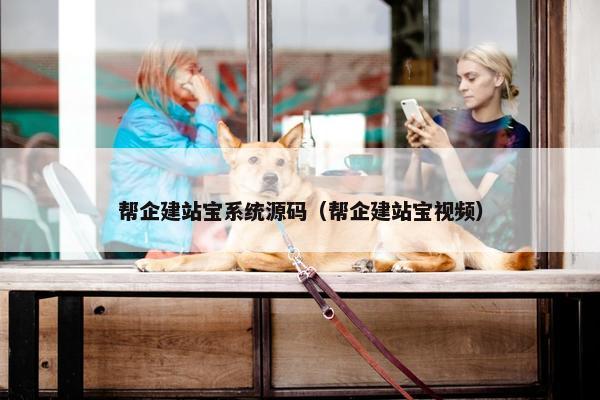 帮企建站宝系统源码（帮企建站宝视频）