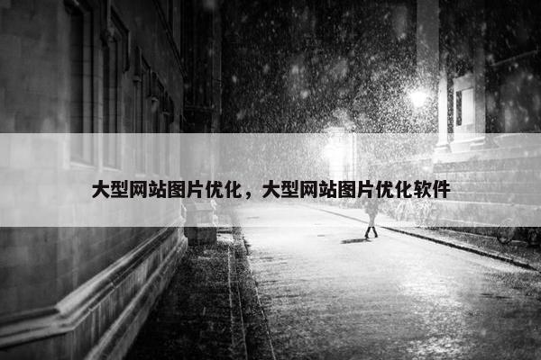 大型网站图片优化，大型网站图片优化软件