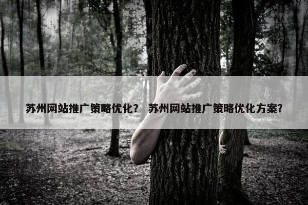 苏州网站推广策略优化？ 苏州网站推广策略优化方案？
