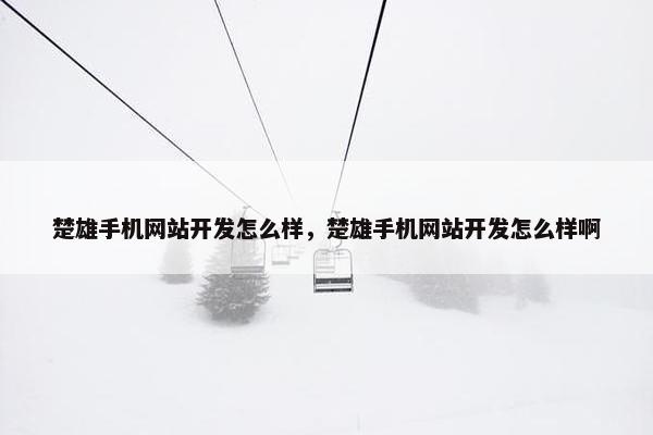 楚雄手机网站开发怎么样，楚雄手机网站开发怎么样啊