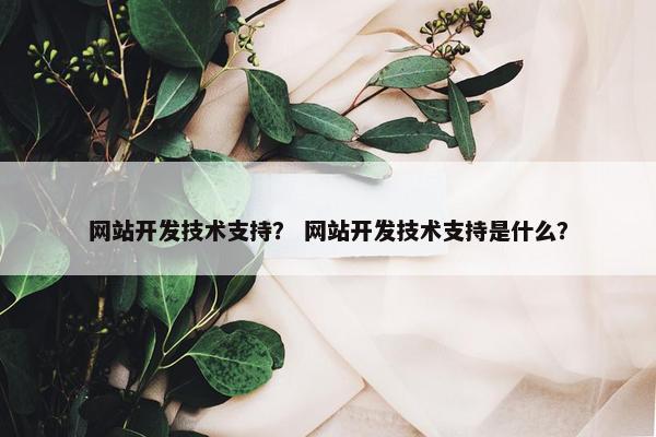 网站开发技术支持？ 网站开发技术支持是什么？