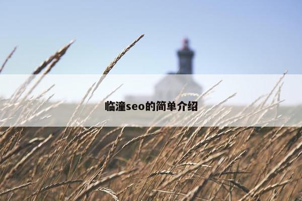 临潼seo的简单介绍