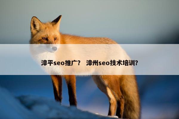 漳平seo推广？ 漳州seo技术培训？