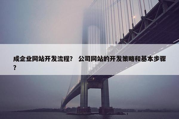 成企业网站开发流程？ 公司网站的开发策略和基本步骤？