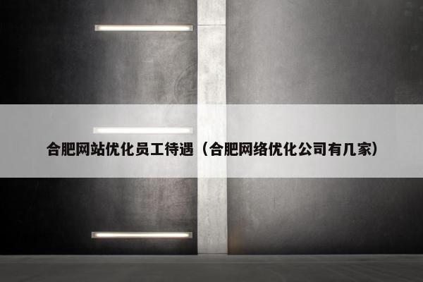 合肥网站优化员工待遇（合肥网络优化公司有几家）