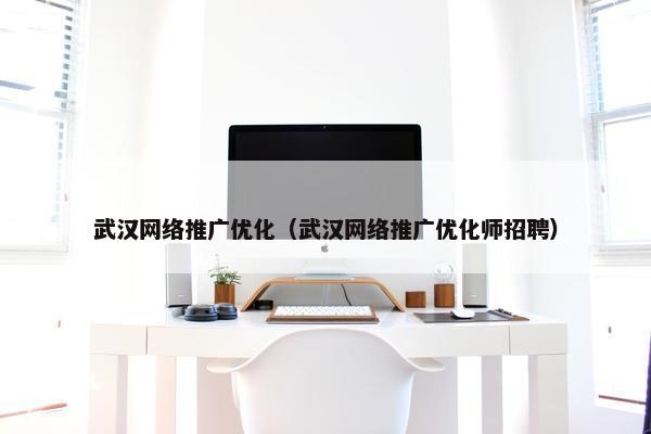 武汉网络推广优化（武汉网络推广优化师招聘）