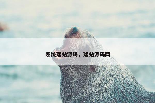 系统建站源码，建站源码网