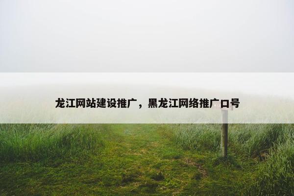 龙江网站建设推广，黑龙江网络推广口号