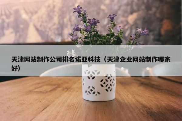 天津网站制作公司排名诺亚科技（天津企业网站制作哪家好）