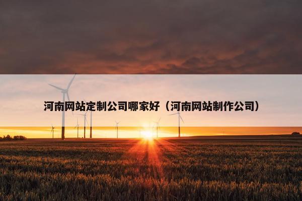河南网站定制公司哪家好（河南网站制作公司）
