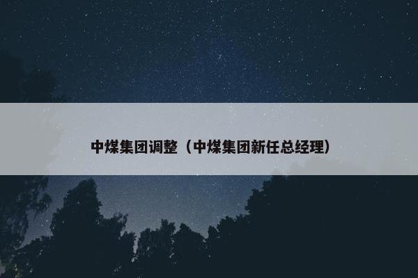 中煤集团调整（中煤集团新任总经理）