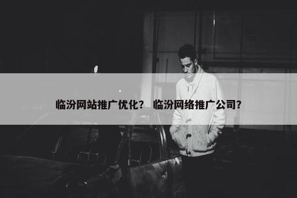 临汾网站推广优化？ 临汾网络推广公司？