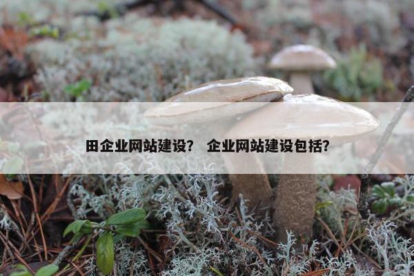 田企业网站建设？ 企业网站建设包括？