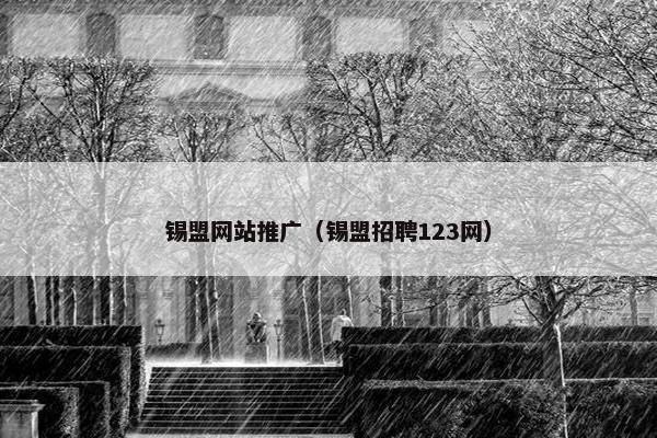 锡盟网站推广（锡盟招聘123网）