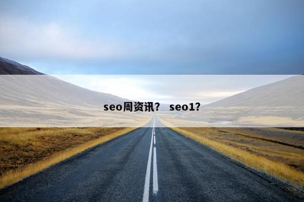seo周资讯？ seo1？