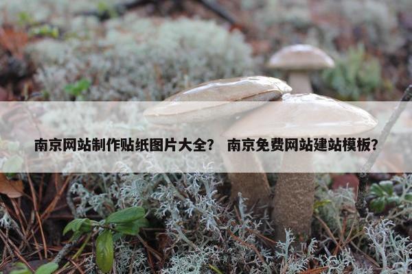 南京网站制作贴纸图片大全？ 南京免费网站建站模板？