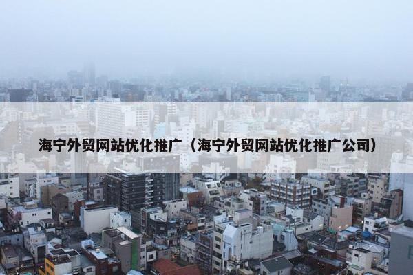 海宁外贸网站优化推广（海宁外贸网站优化推广公司）