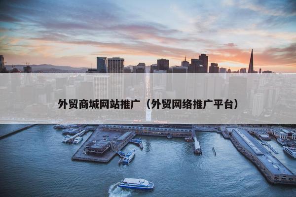 外贸商城网站推广（外贸网络推广平台）