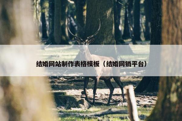 结婚网站制作表格模板（结婚网销平台）