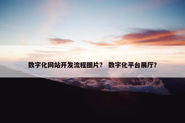 数字化网站开发流程图片？ 数字化平台展厅？