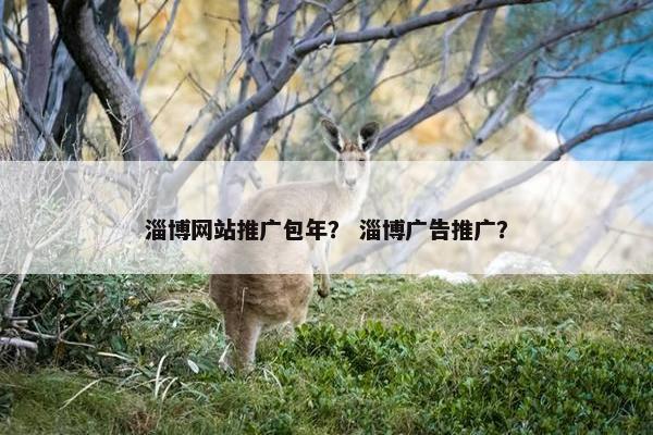 淄博网站推广包年？ 淄博广告推广？