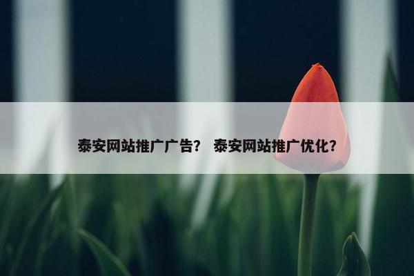 泰安网站推广广告？ 泰安网站推广优化？