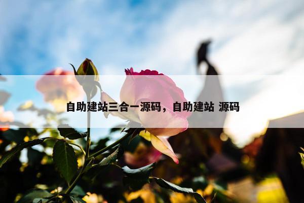 自助建站三合一源码，自助建站 源码