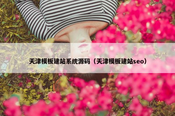 天津模板建站系统源码（天津模板建站seo）