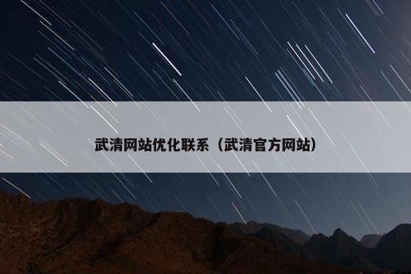 武清网站优化联系（武清官方网站）