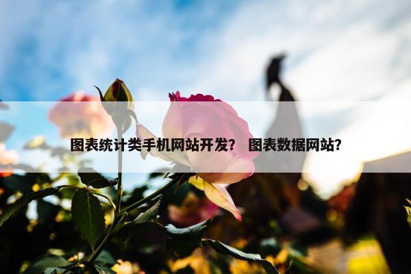 图表统计类手机网站开发？ 图表数据网站？
