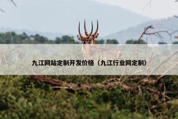 九江网站定制开发价格（九江行业网定制）
