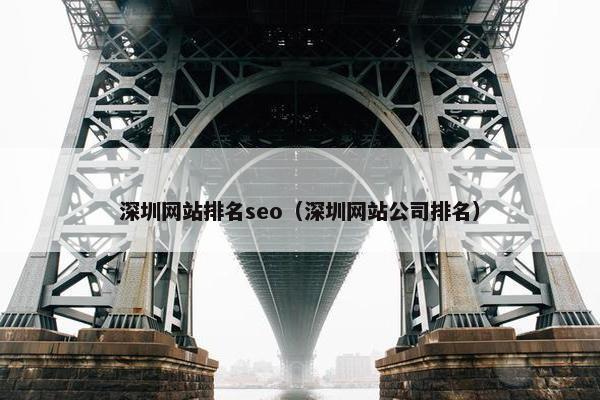深圳网站排名seo（深圳网站公司排名）