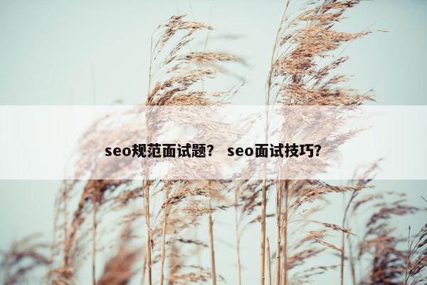 seo规范面试题？ seo面试技巧？