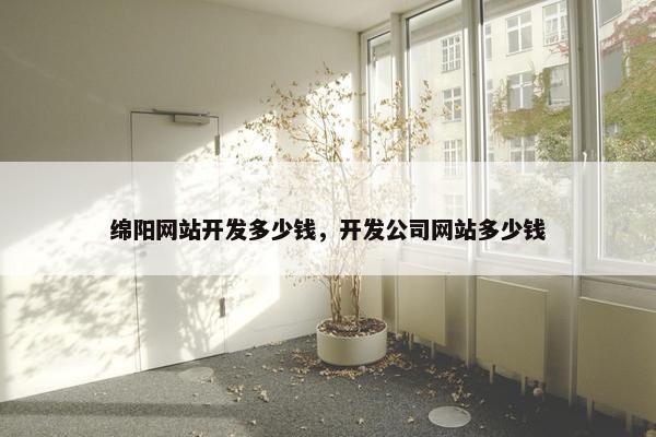 绵阳网站开发多少钱，开发公司网站多少钱