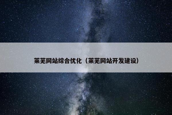 莱芜网站综合优化（莱芜网站开发建设）
