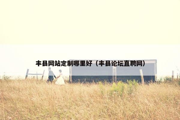 丰县网站定制哪里好（丰县论坛直聘网）