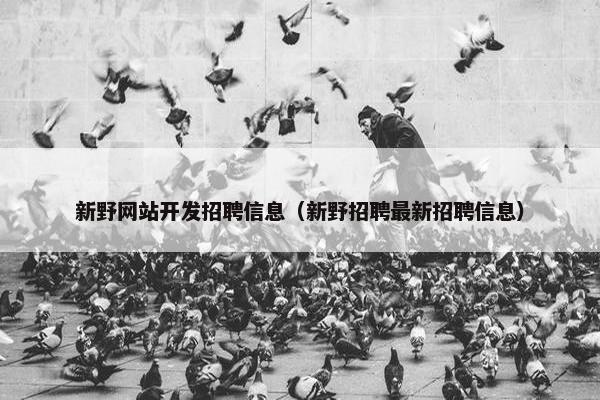 新野网站开发招聘信息（新野招聘最新招聘信息）