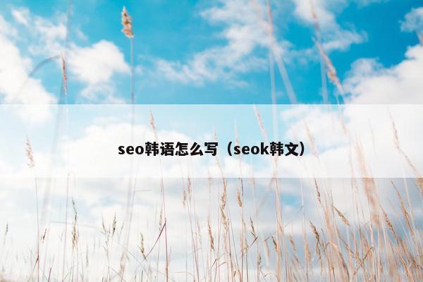 seo韩语怎么写（seok韩文）