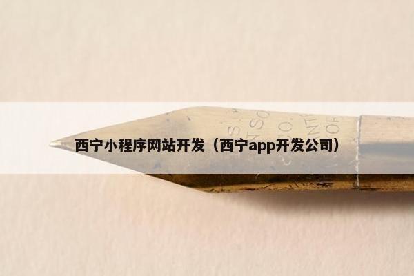 西宁小程序网站开发（西宁app开发公司）
