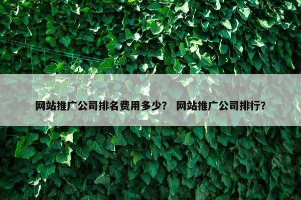 网站推广公司排名费用多少？ 网站推广公司排行？