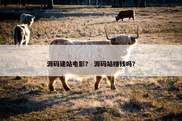源码建站电影？ 源码站赚钱吗？