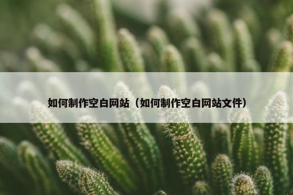 如何制作空白网站（如何制作空白网站文件）